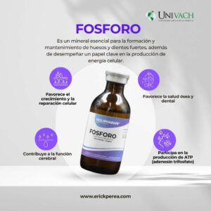 FOSFORO