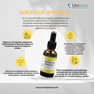 SUERO DE ANGUILA
