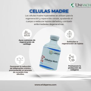 CELULAS MADRE