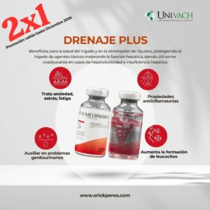 Drenaje Plus
