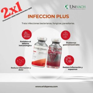 Infeccion Plus