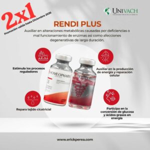 Rendi Plus