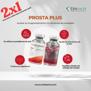 Prosta Plus