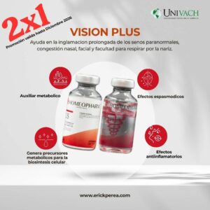 Vision Plus