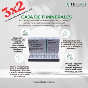 Caja de 11 Minerales